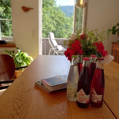 Waelder: Quartier Haus Im Glueck Villa St. Blasien Bagian luar foto
