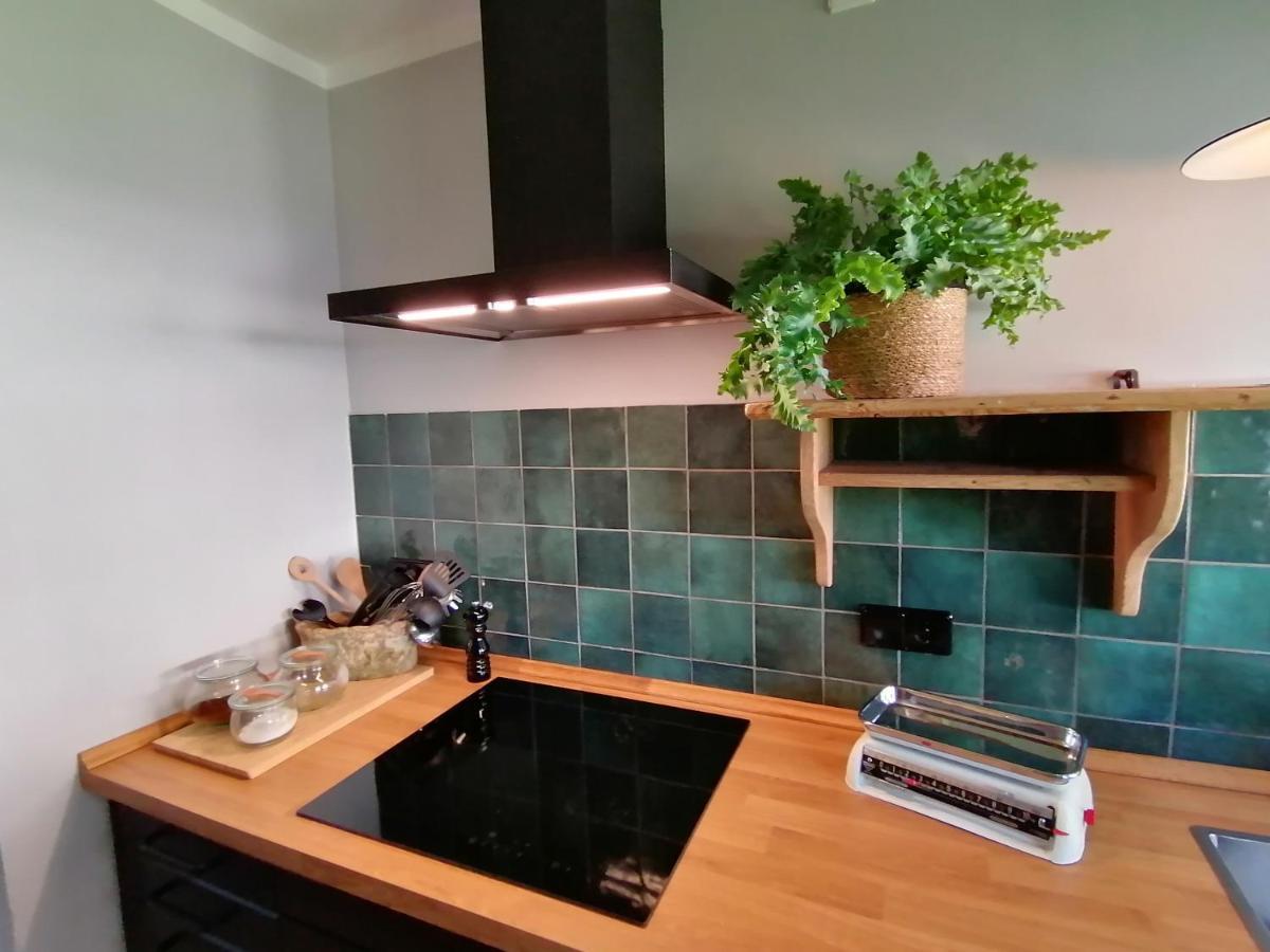 Waelder: Quartier Haus Im Glueck Villa St. Blasien Bagian luar foto