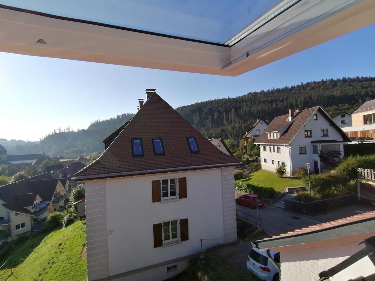Waelder: Quartier Haus Im Glueck Villa St. Blasien Bagian luar foto